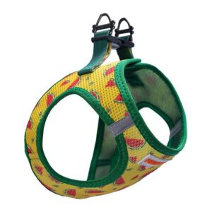 Air-mesh Watermelon Köpek Göğüs Tasması - GoPatik